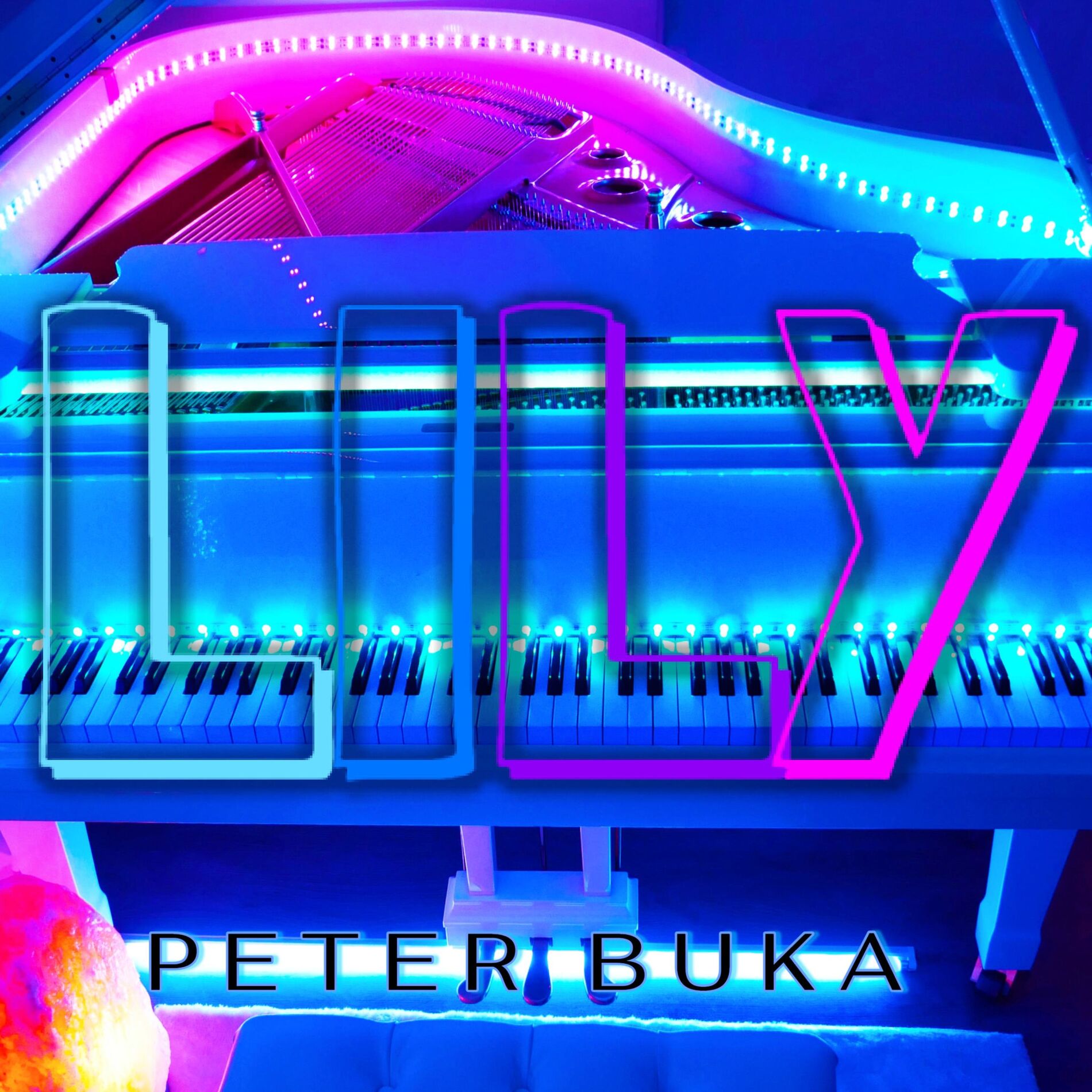 Album cover of Lily