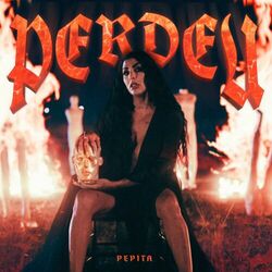 Cover of Perdeu