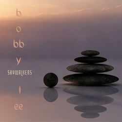 Cover of Skywalkers
