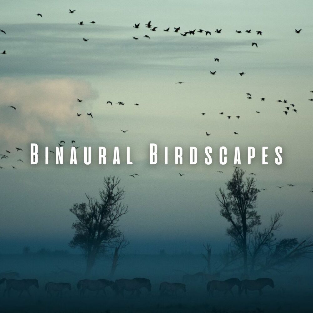 Picture of Binaural Birdscapes: Ambient Music for Meditative Bliss