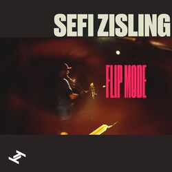 Cover of Flip Mode
