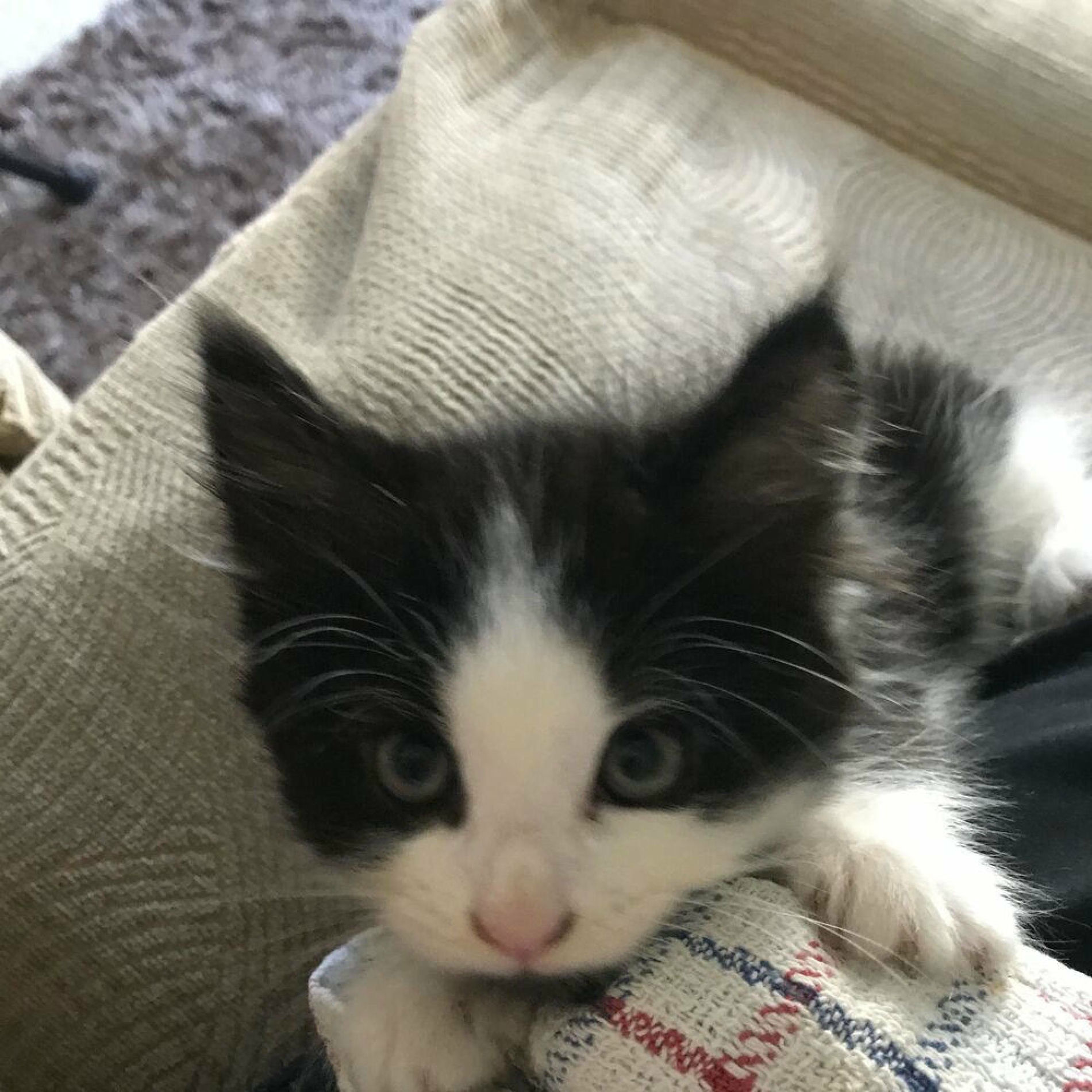 Album cover of falling slowly (feat. zixdown, twentyfifth, whyhaze & maiko)