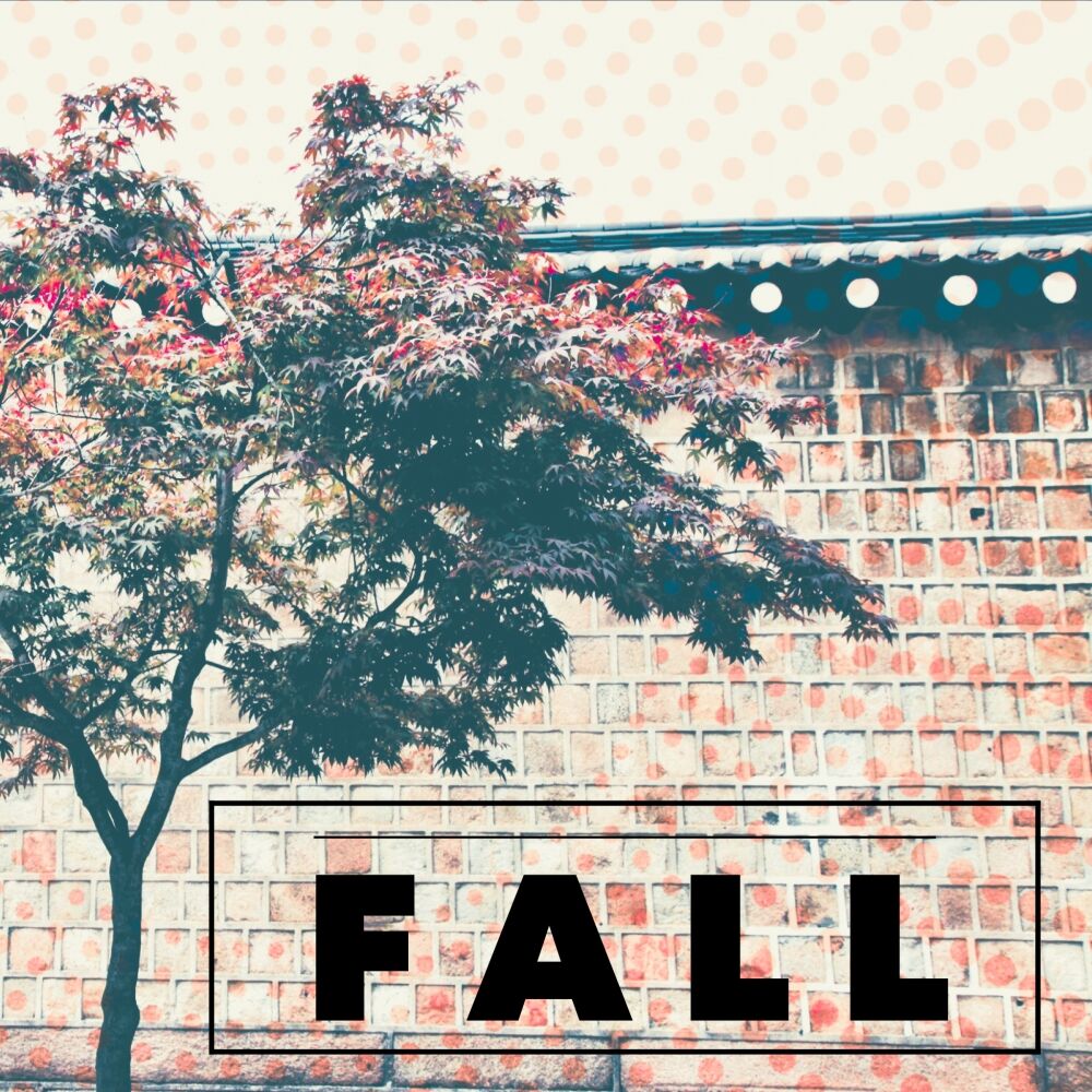 Picture of Fall