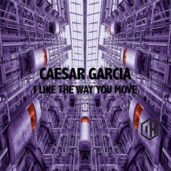 Cover of I Like the Way You Move