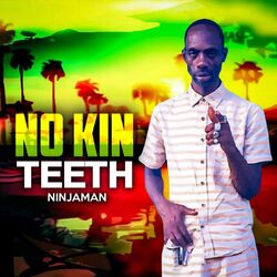 Cover of No Kin Teeth