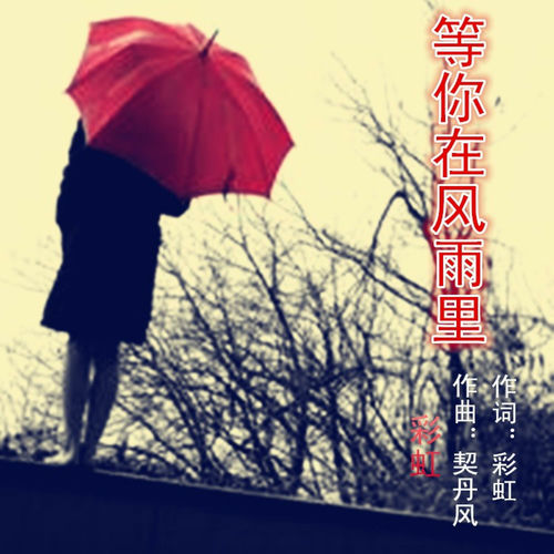 等你在风雨里 (女版)