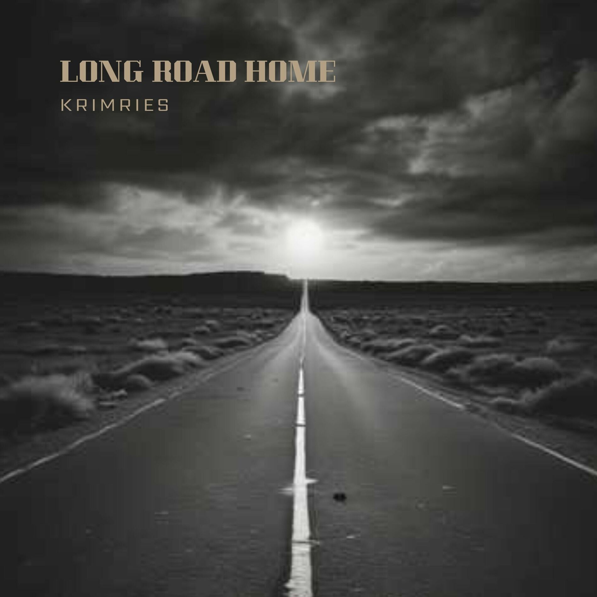 Album cover of Long Road Home
