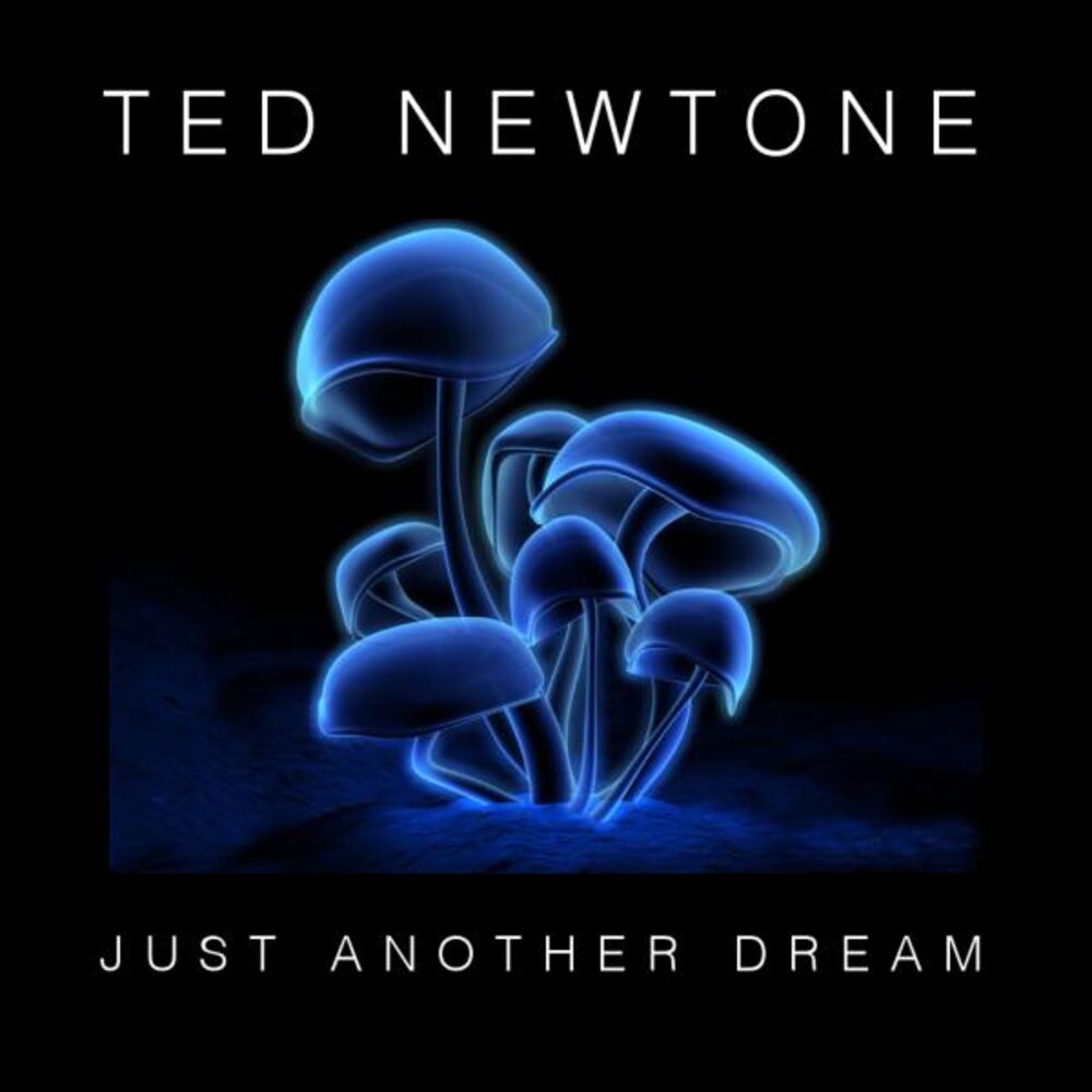 Picture of Just Another Dream