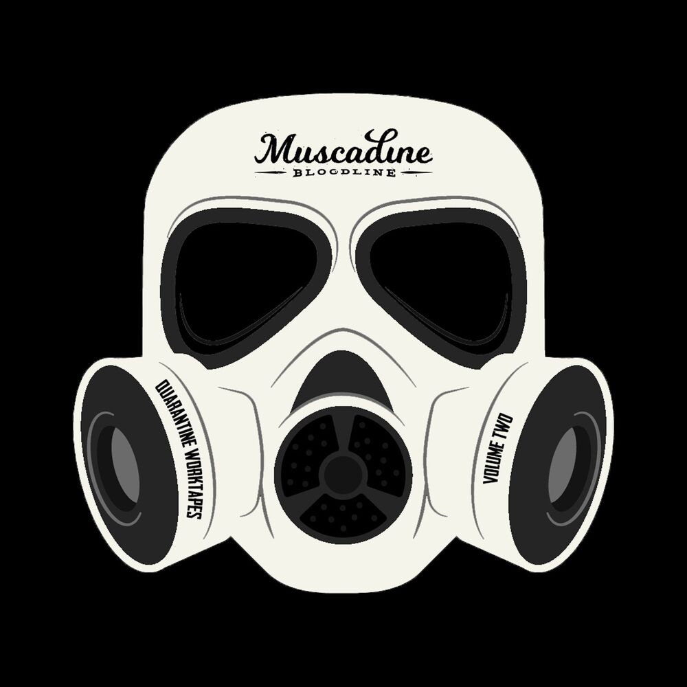 Picture of Quarantine Work-Tapes, Vol. 2