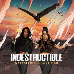 Cover of Indestructible