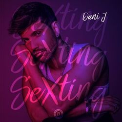 Cover of Sexting