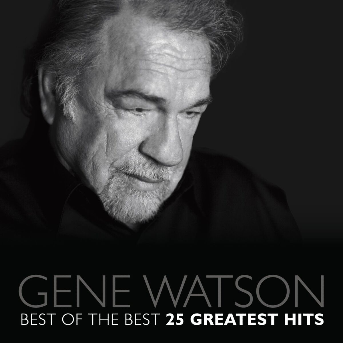Album cover of Best Of The Best - 25 Greatest Hits