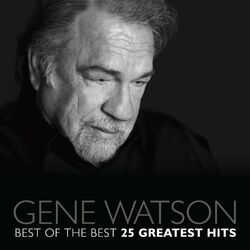 Cover of Best Of The Best - 25 Greatest Hits