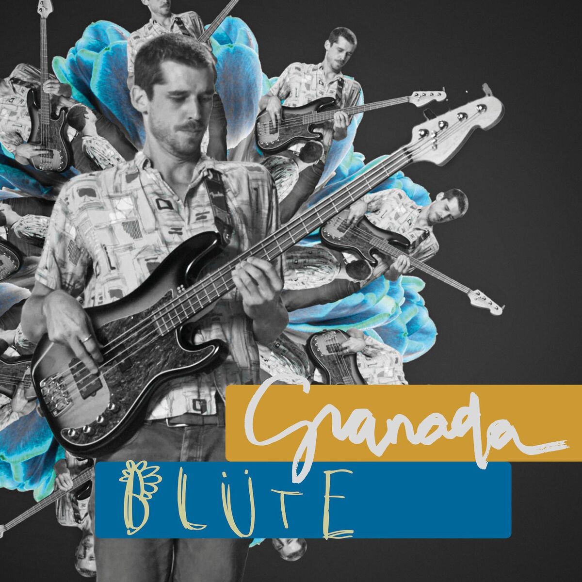Album cover of Blüte