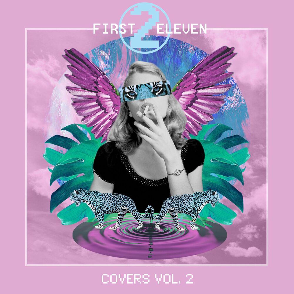 Picture of Covers, Vol. 2