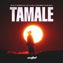 Cover of Tamale