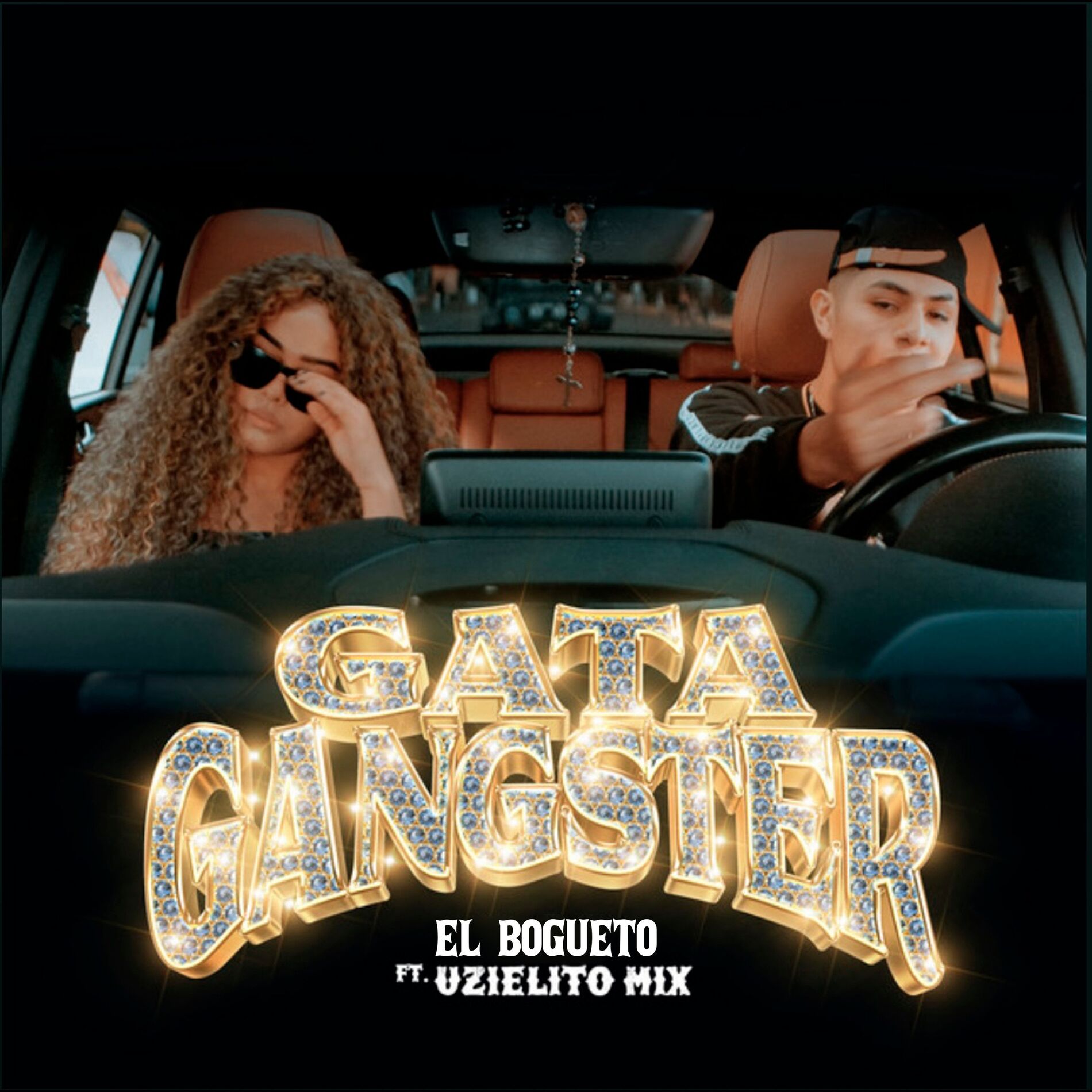 Album cover of Gata Gangster