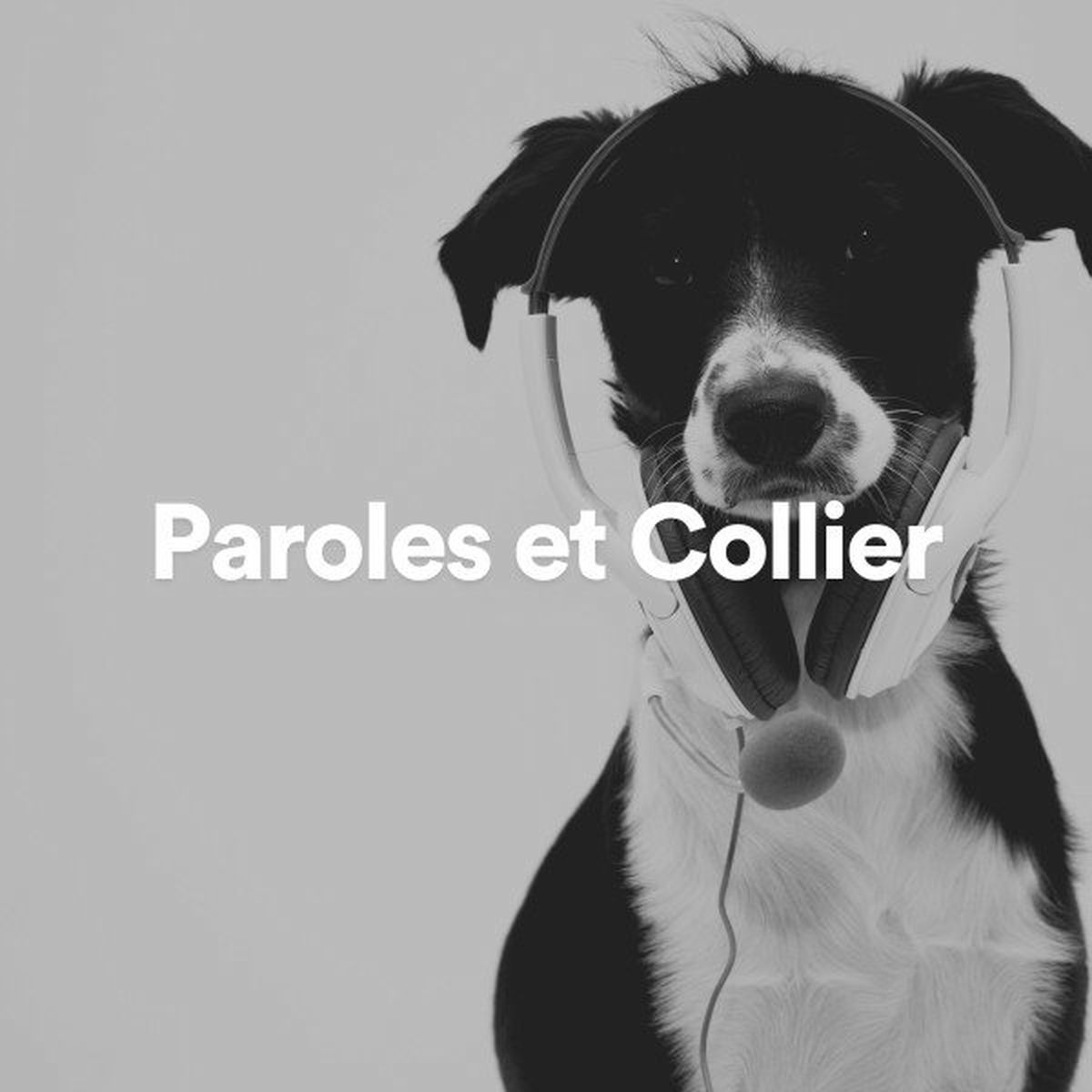 Album cover of Paroles et collier