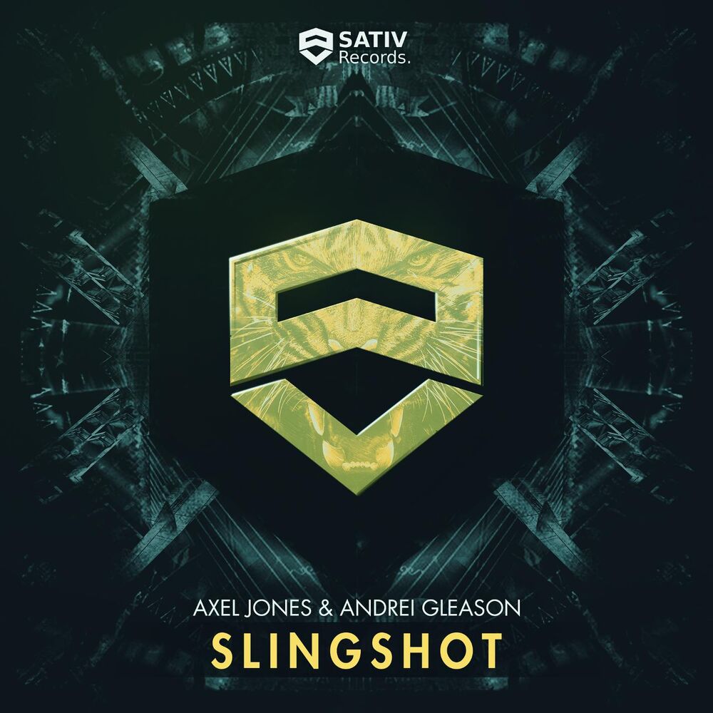 Picture of Slingshot