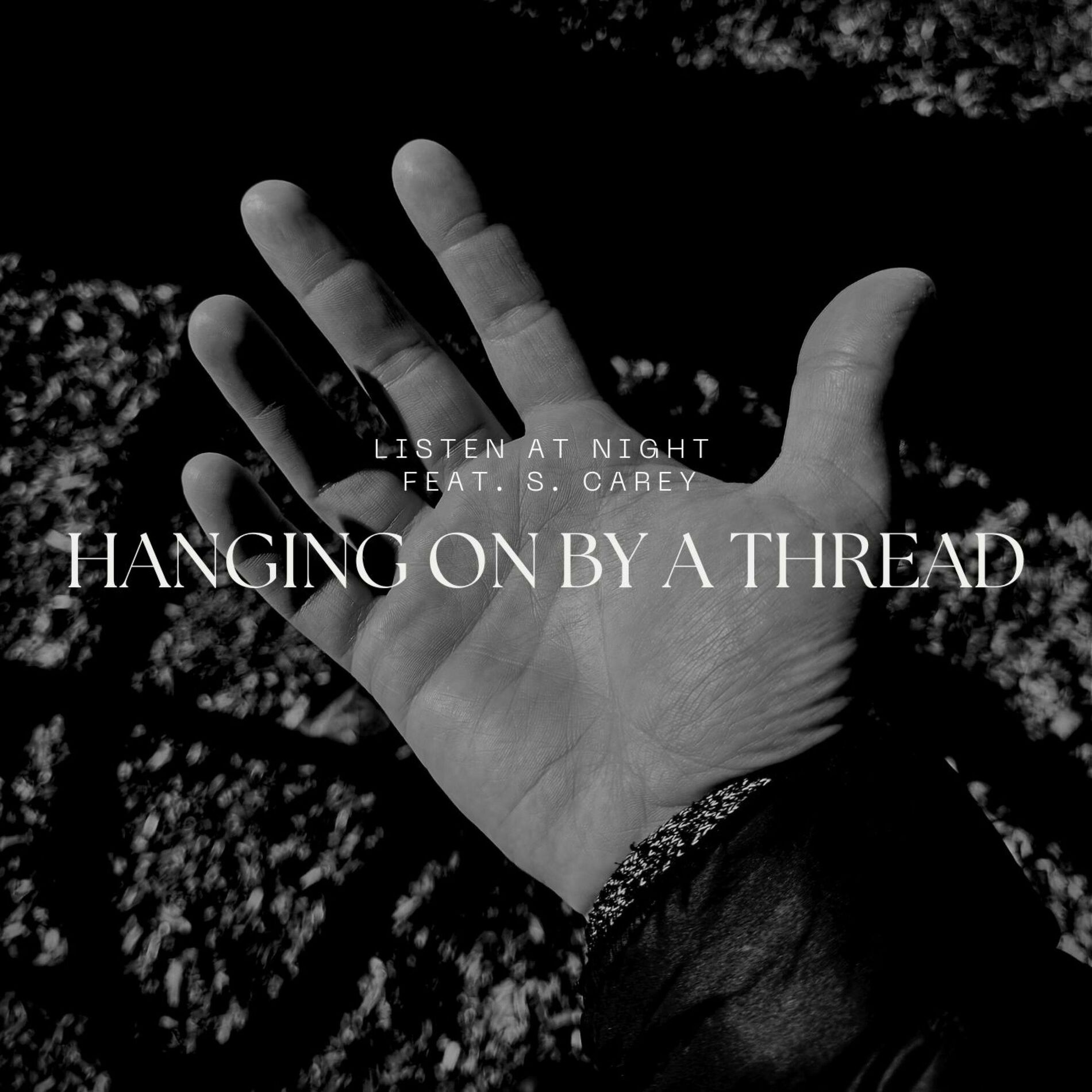 Album cover of Hanging On By A Thread (feat. S. Carey)