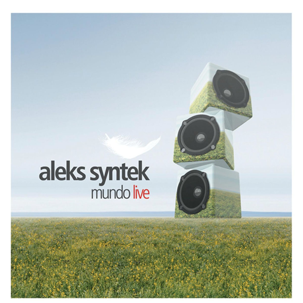 Album cover of Mundo Live