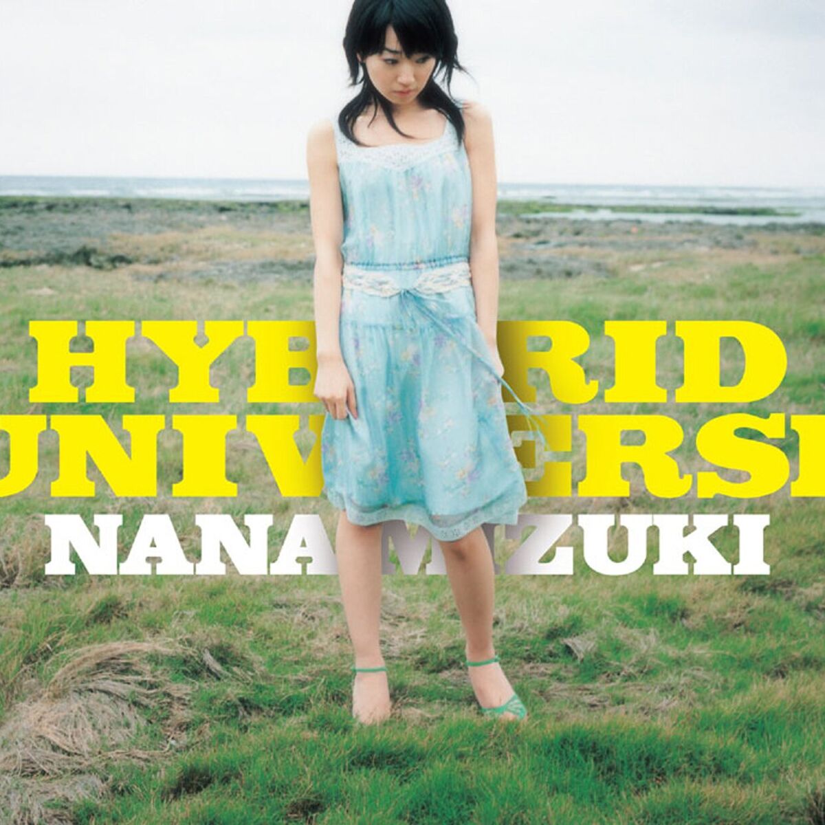 Album cover of HYBRID UNIVERSE