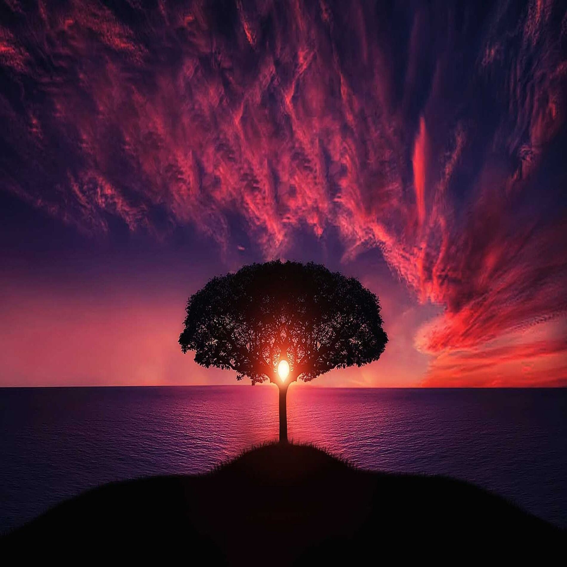 Album cover of High Enough