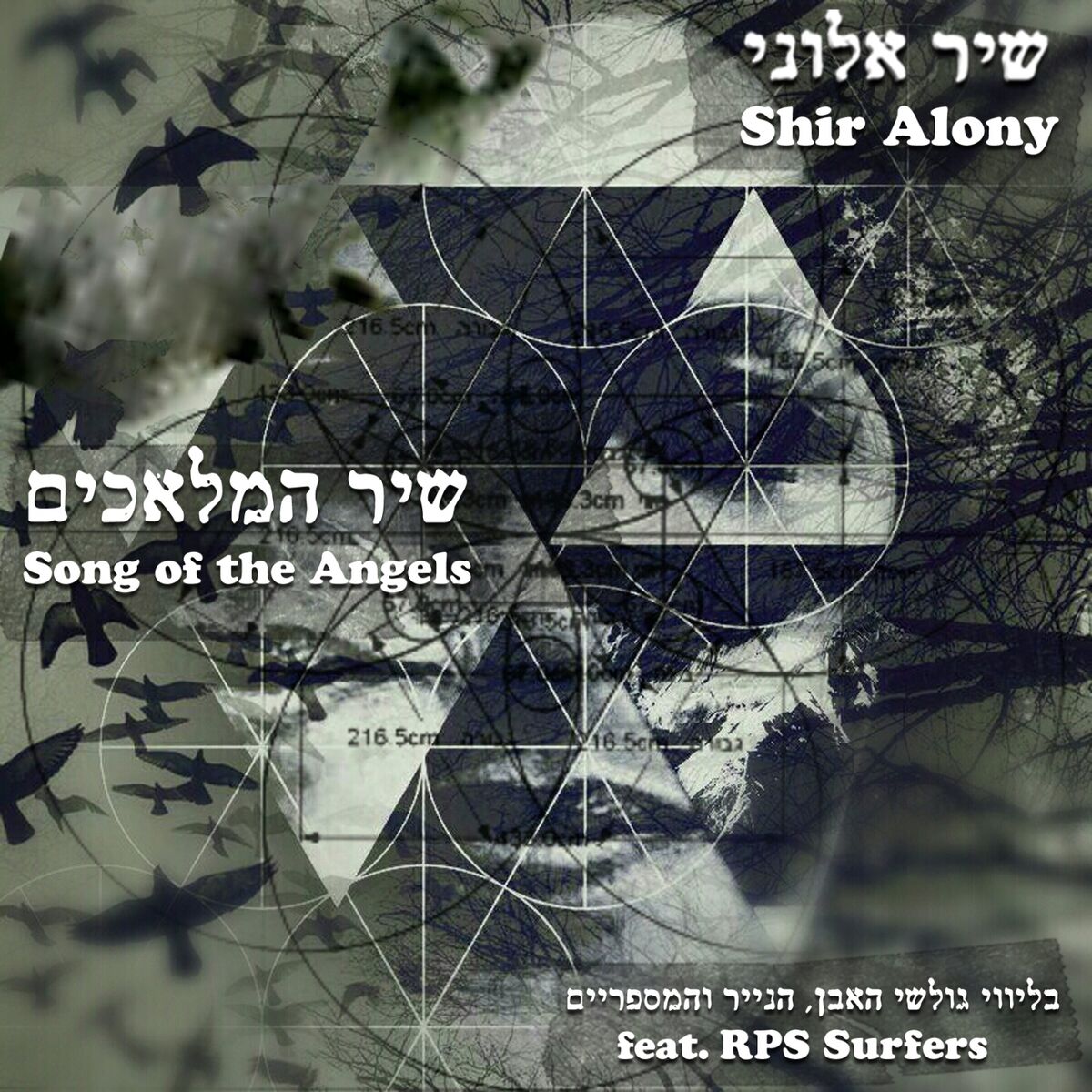 Album cover of שיר המלאכים