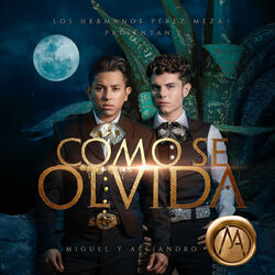 Cover of Cómo Se Olvida