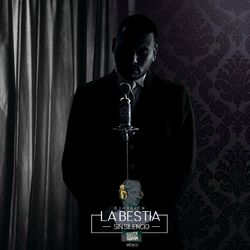 Cover of Sin Silencio