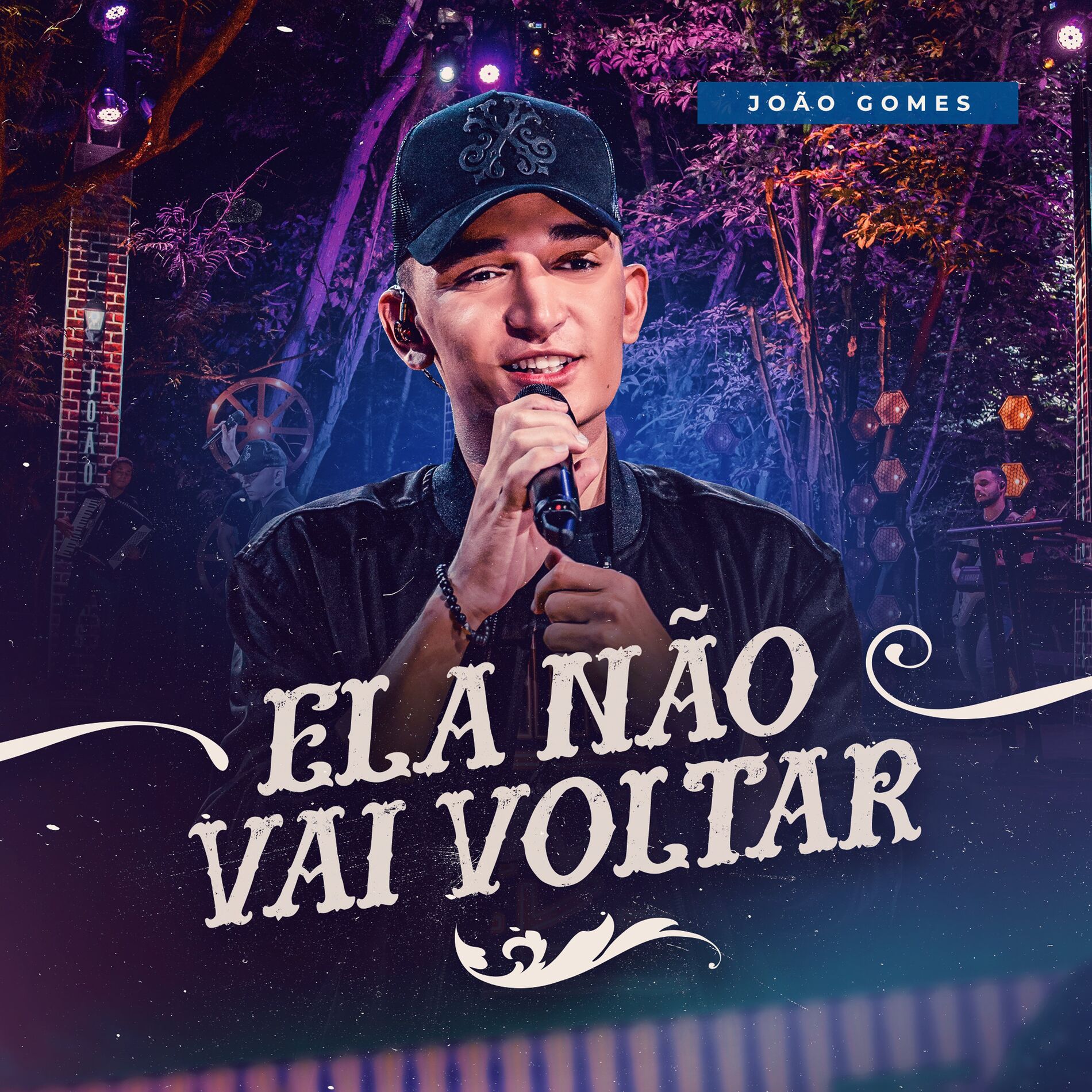 Album cover of Ela Não Vai Voltar