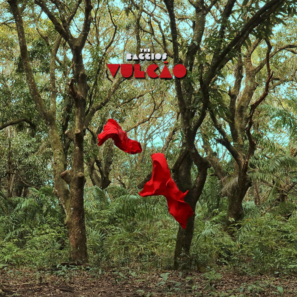 Album cover of Em Si Menor