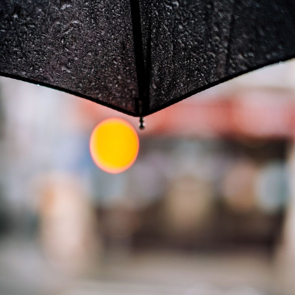 Picture of 365 Rainfall: Midnight Rain Ritual