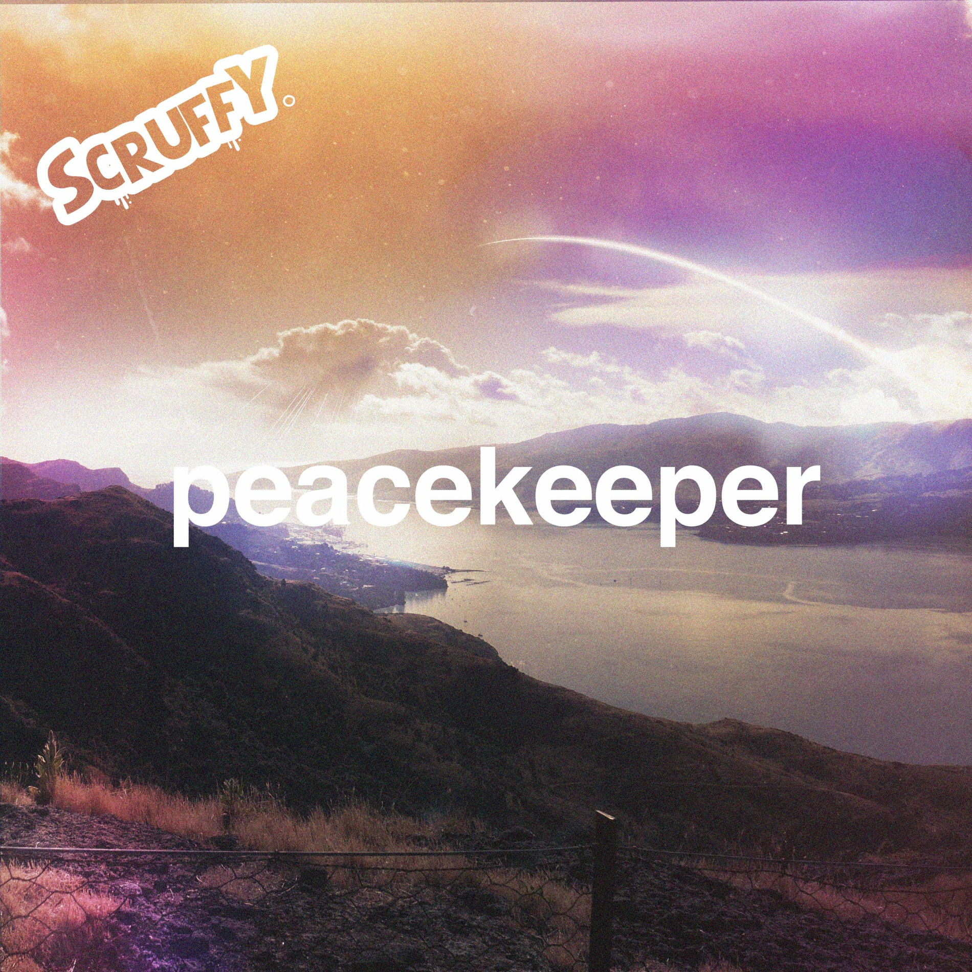 Album cover of Peackeeper