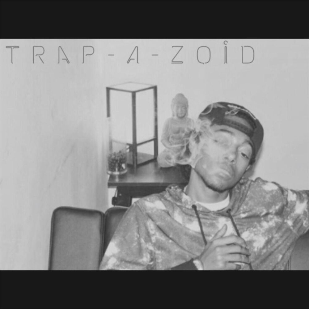 Picture of Trap-a-Zoid
