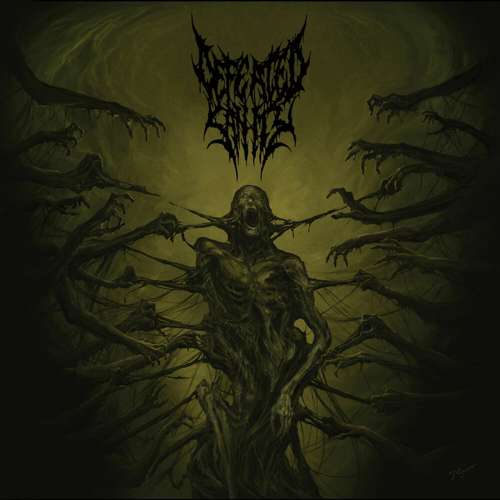 Picture of Passages Into Deformity