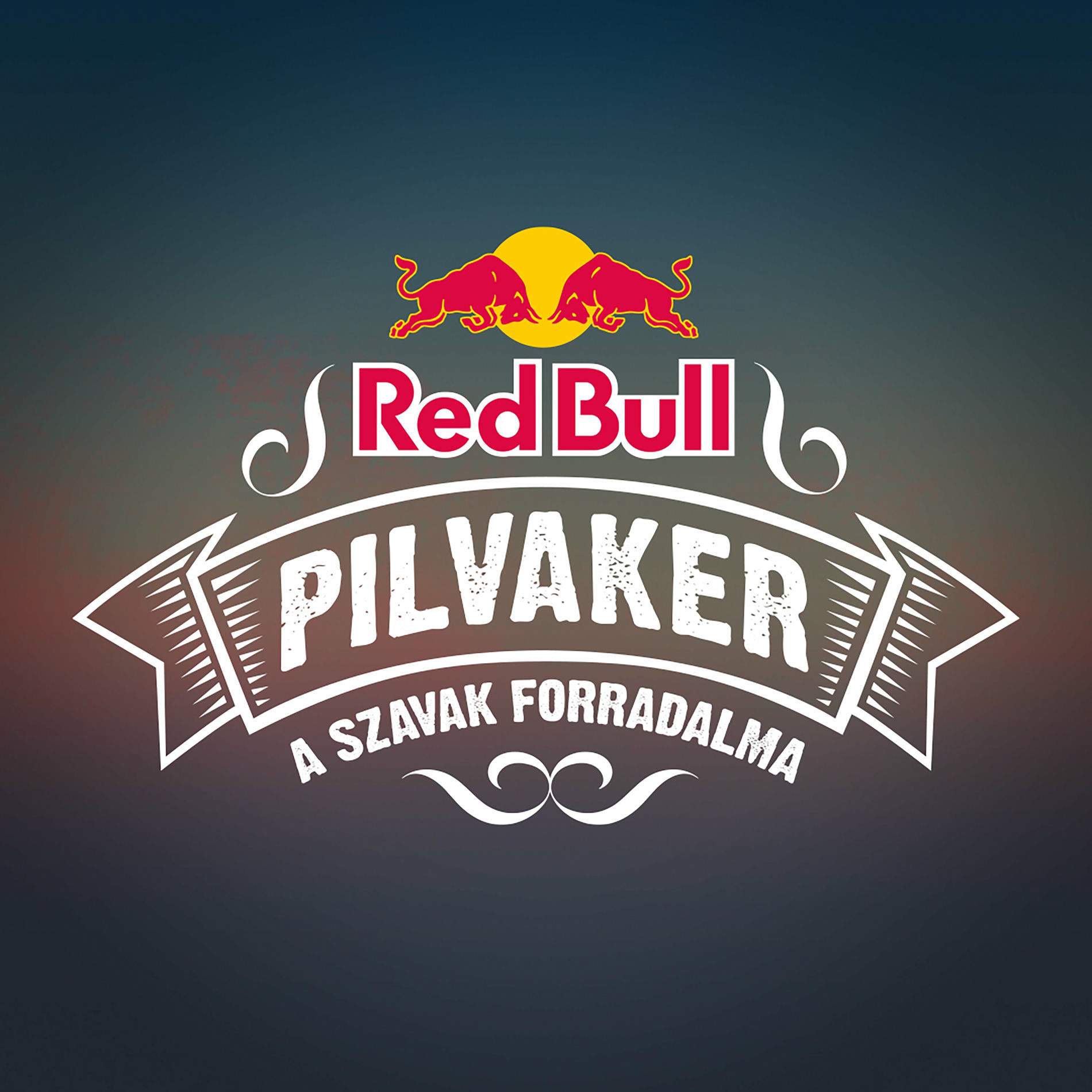 Album cover of Red Bull Pilvaker 2021