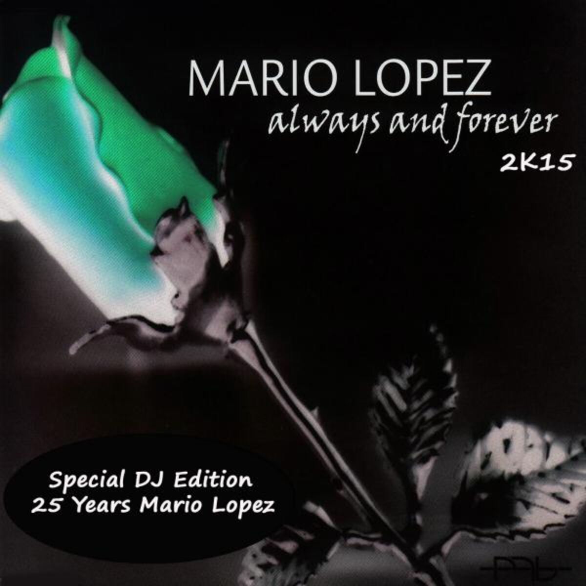 Album cover of Always and Forever 2K15 (Special DJ Edition)