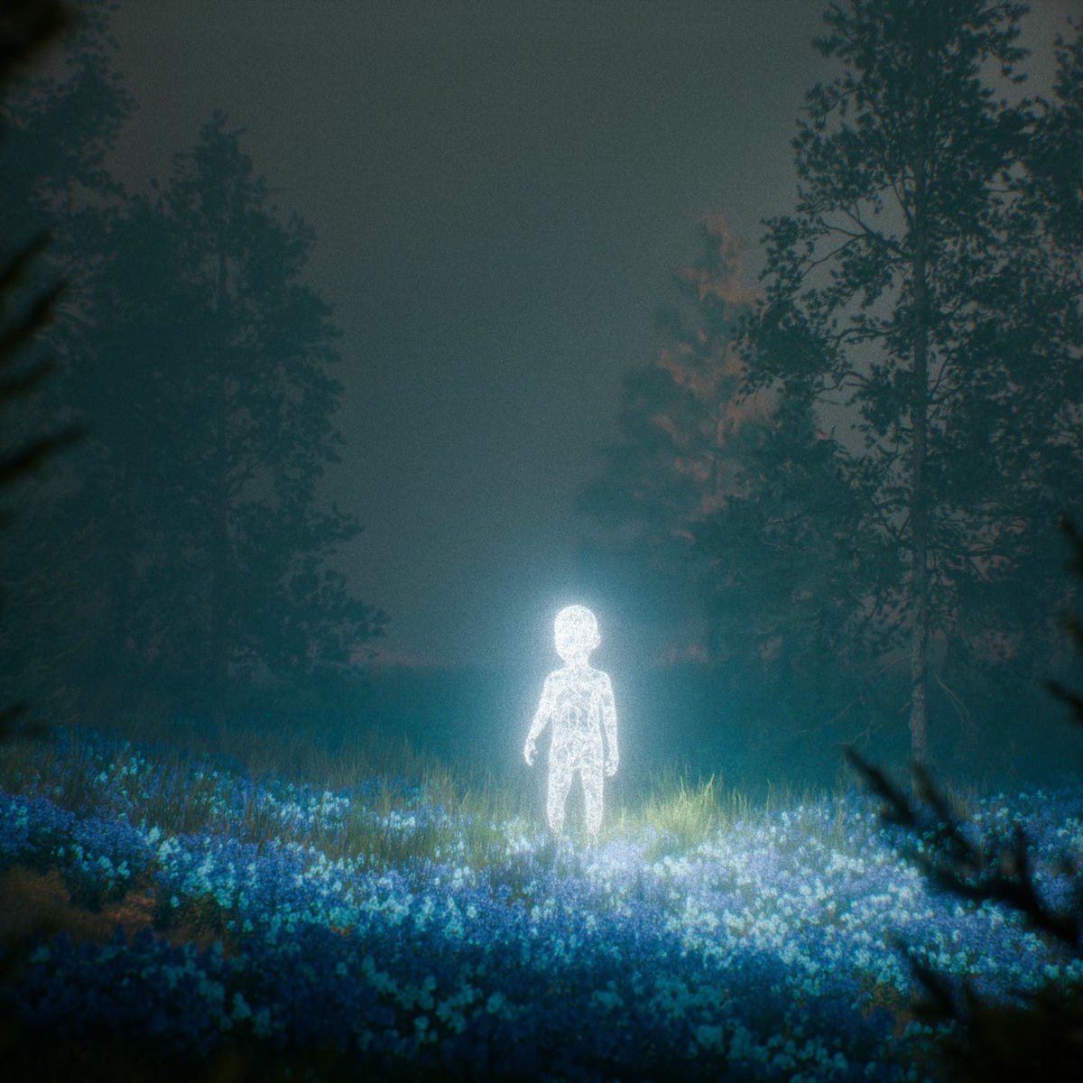 Album cover of while the time sleeps