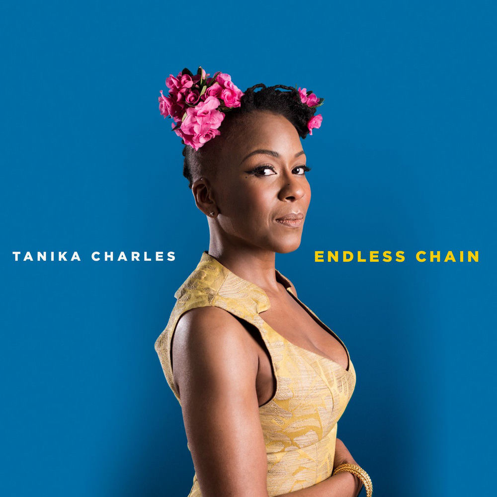 Cover du titre Endless Chain