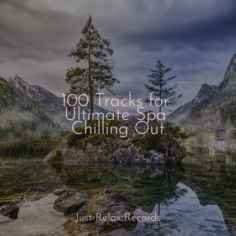Picture of 100 Tracks for Ultimate Spa Chilling Out