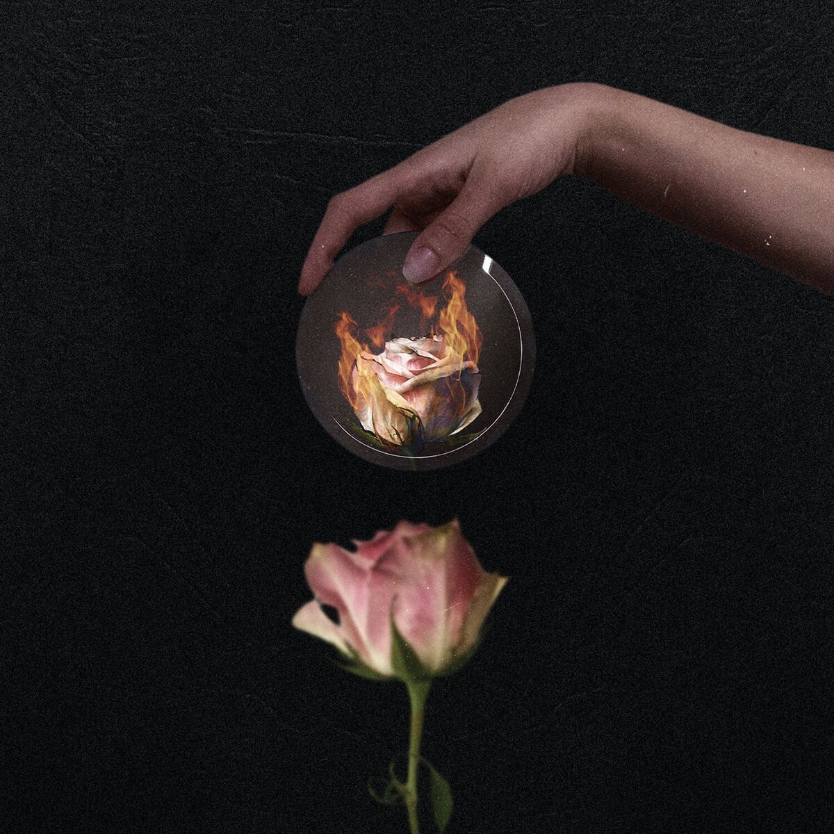 Album cover of In Reverse