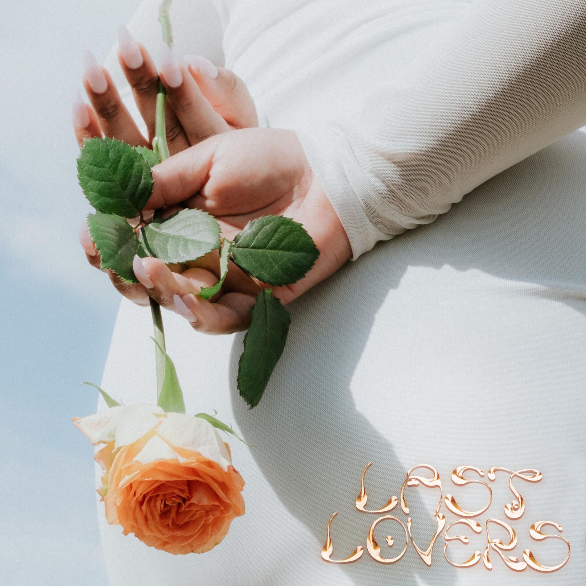 Album cover of Last Lovers