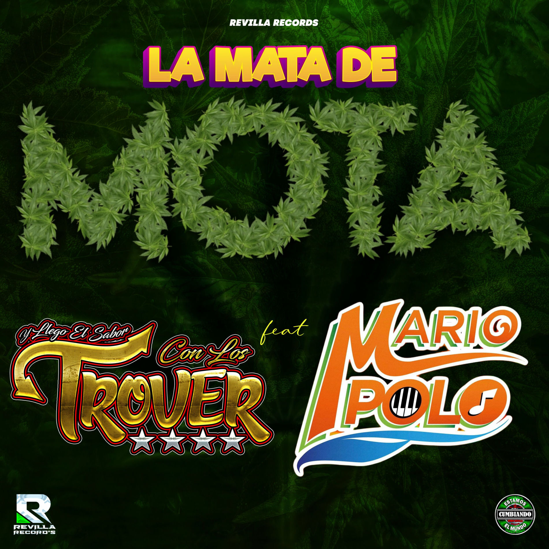 Album cover of La Mata de Mota