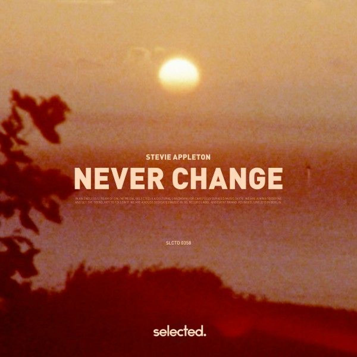 Album cover of Never Change