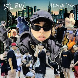 Cover of Slow
