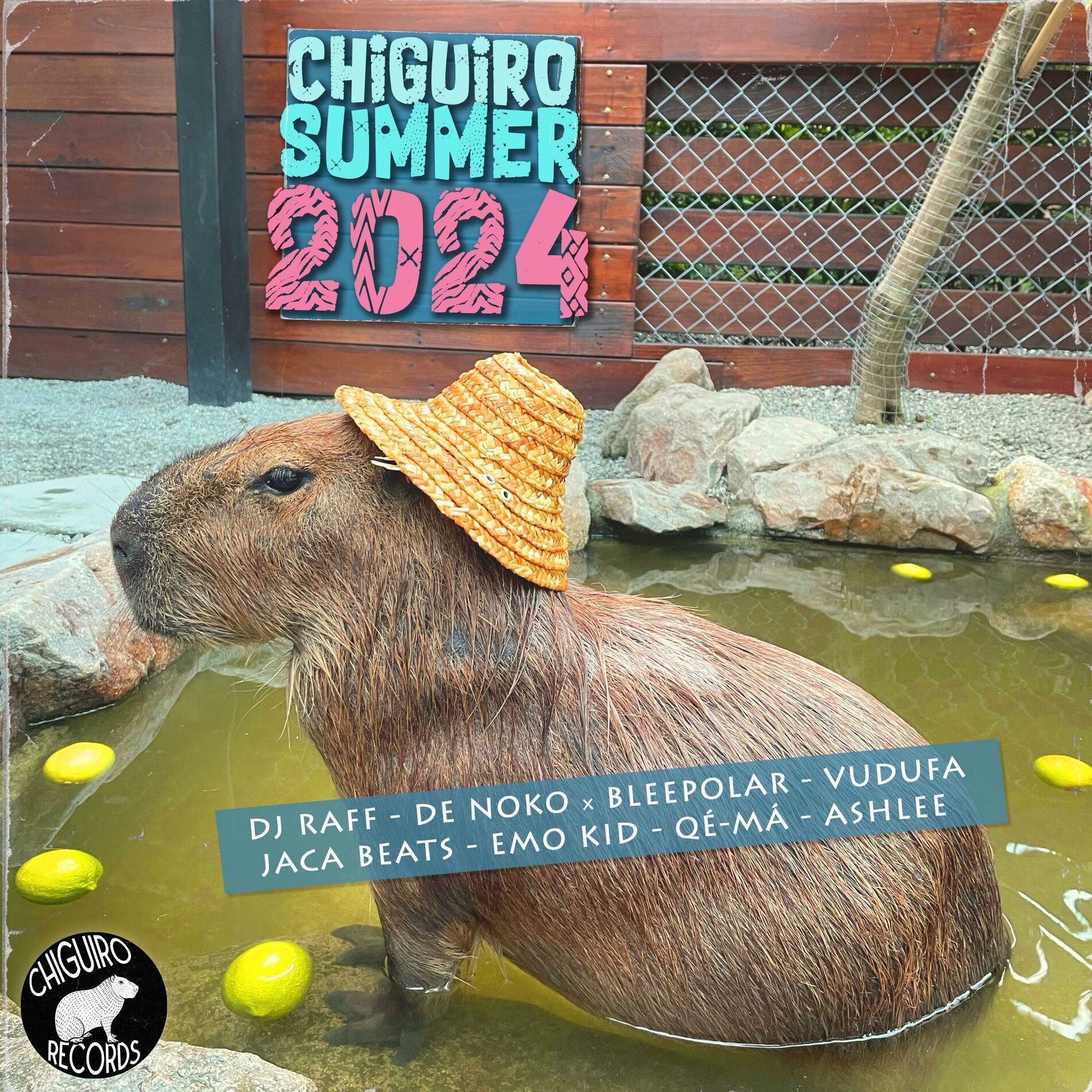 Album cover of CHIGUIRO SUMMER 2024