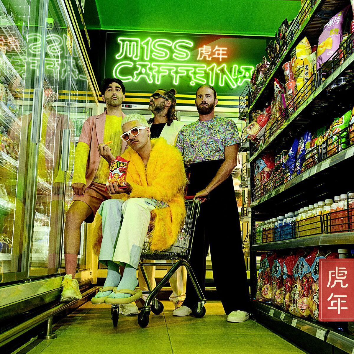 Album cover of El año del tigre