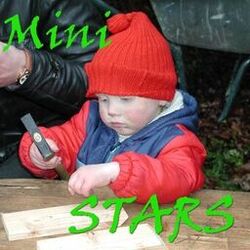 Cover of Mini Stars Vol. 2