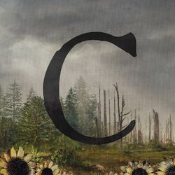 Cover of C
